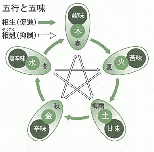 五行 味|自然のものを五つに分類する「五行説」、「五味」「。